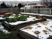 Community garden in winter