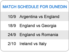 RWC 2011 Dunedin Match Schedule