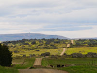 Gravel road near Middlemarch