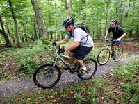 Mountain bikers