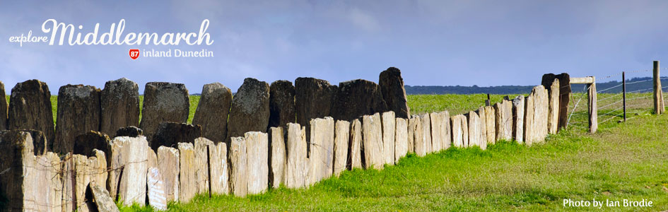 Stone sheep yards