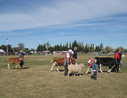 Easter at Middlemarch Showgrounds
