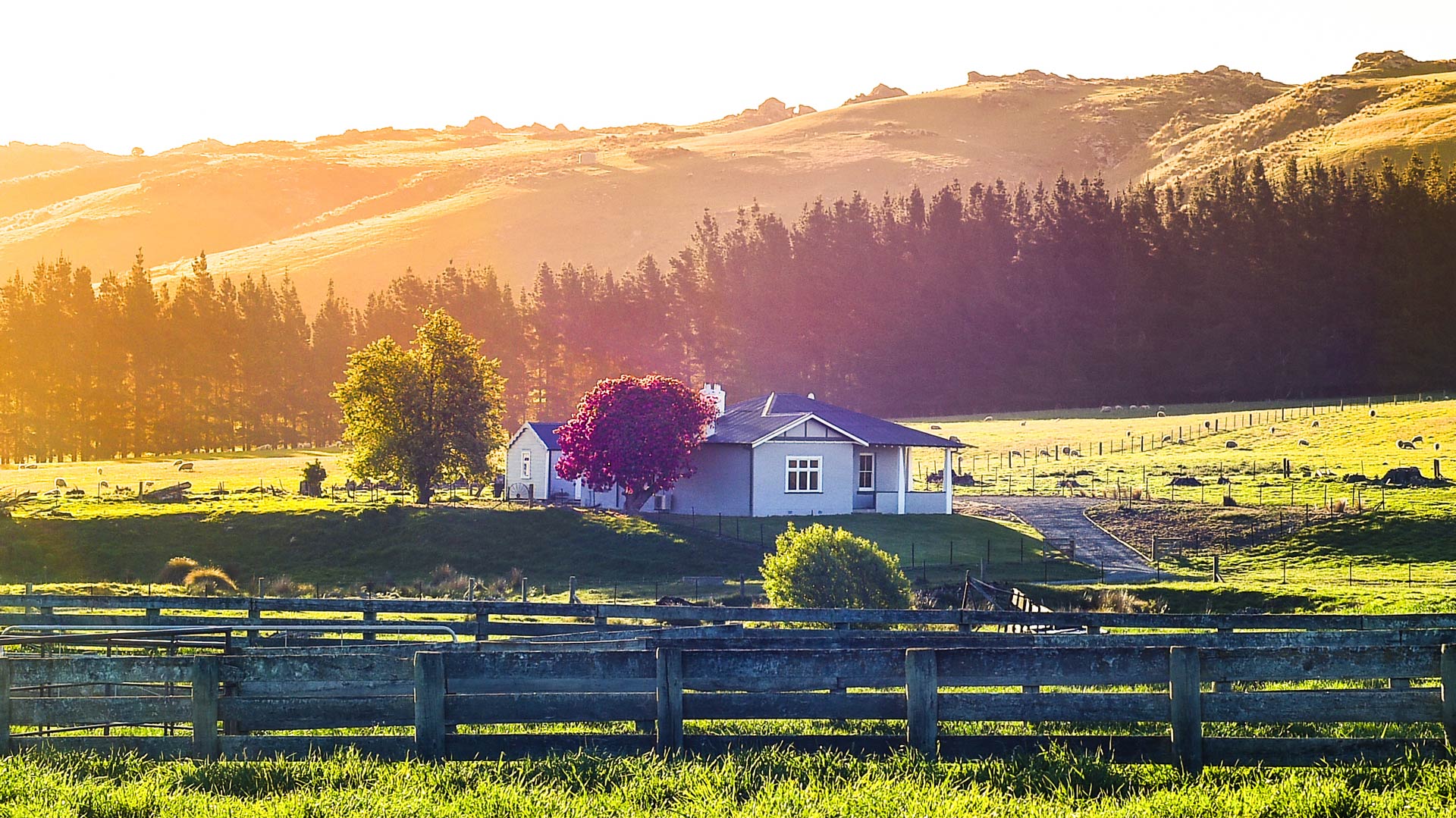 Nenthorn farmhouse, Havrincourt Farm, Middlemarch accomodation