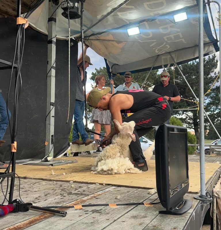 Middlemarch-Strath-Taieri-Young-Farmers-Shearing
