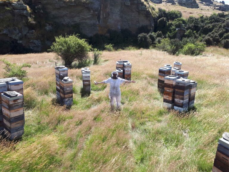 Dale-Honey-worker-hives