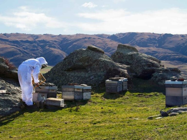 Dale Honey worker on farm