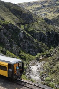 Taieri Gorge Train on way to Pukerangi, Middlemarch