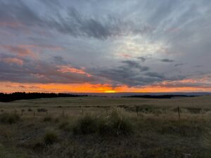 IMG_3395 - Jeffrey Bell