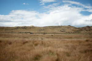 FrancineBoerPhotography-TAIERIBANKCOTTAGE128