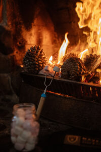 FrancineBoerPhotography-TAIERIBANKCOTTAGE245
